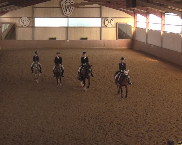 Reitturnier Lüdinghausen-Westrup 2018