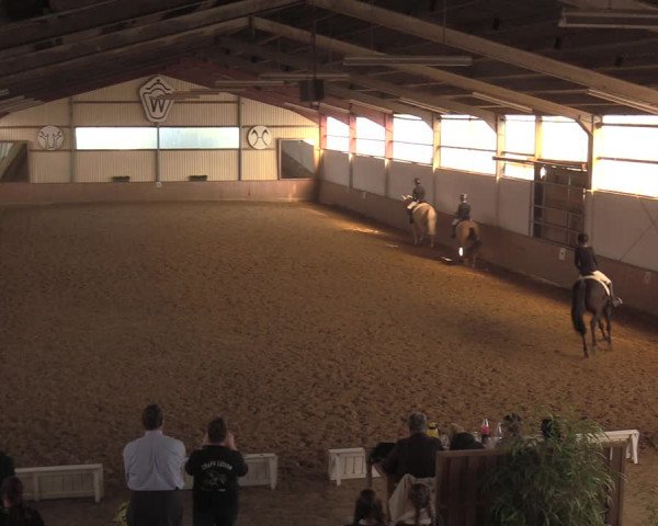 Reitturnier Lüdinghausen-Westrup 2018