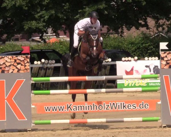 jumper Level Four (Holsteiner, 2011, from Larimar)