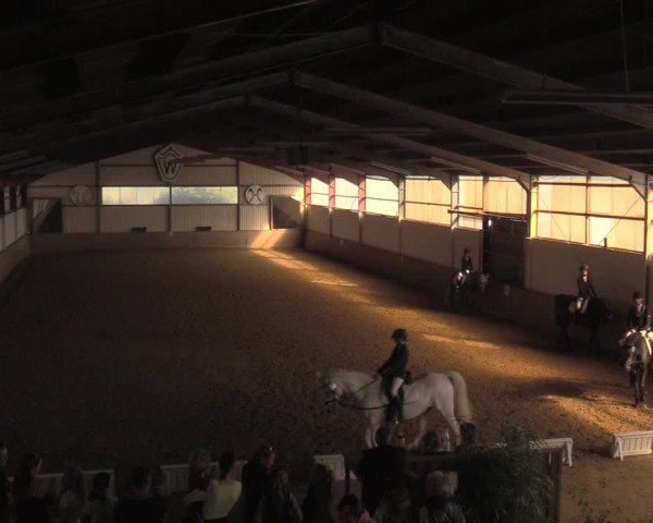 Reitturnier Lüdinghausen-Westrup 2018
