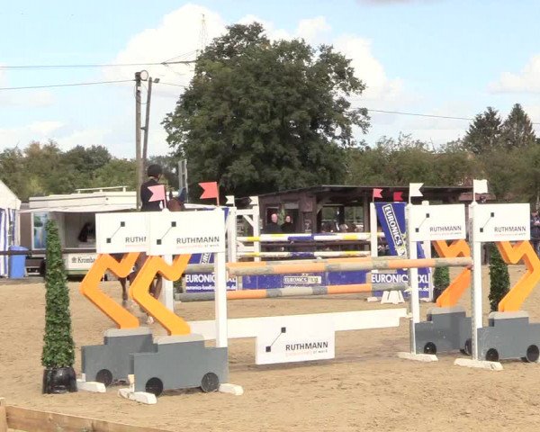 Reitturnier Lüdinghausen-Westrup 2018