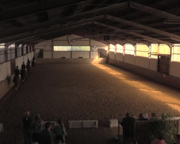 Reitturnier Lüdinghausen-Westrup 2018