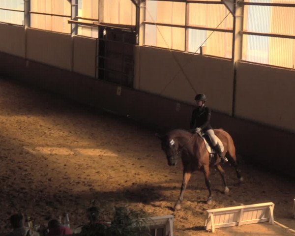 Reitturnier Lüdinghausen-Westrup 2018