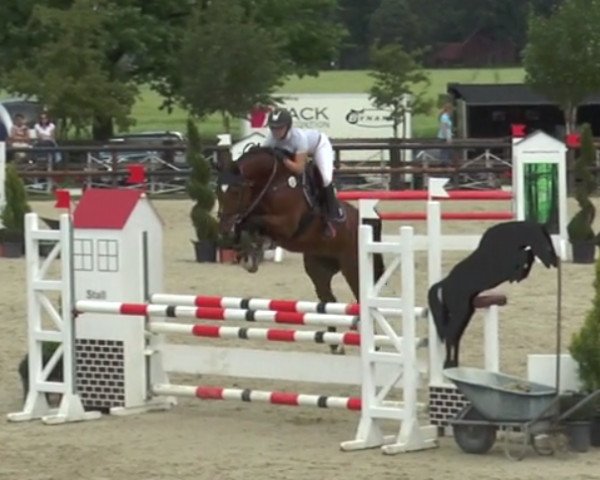 jumper COMME ON (Westphalian, 2012, from Comme il Faut)