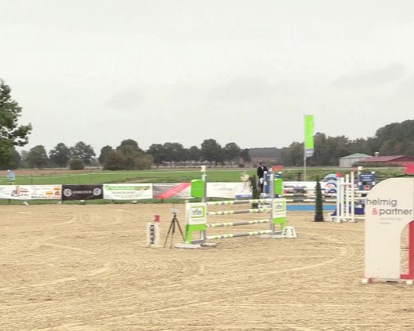 Reitturnier Lüdinghausen-Westrup 2018