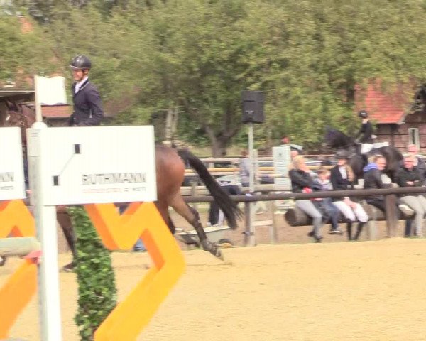 Reitturnier Lüdinghausen-Westrup 2018