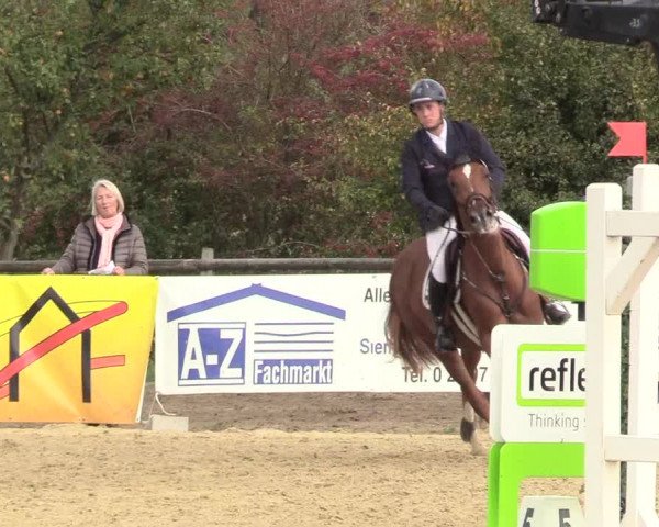 Reitturnier Lüdinghausen-Westrup 2018