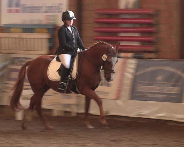 Reitturnier Ovenstädt 2018