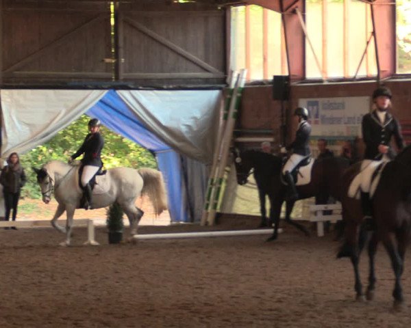 Reitturnier Ovenstädt 2018