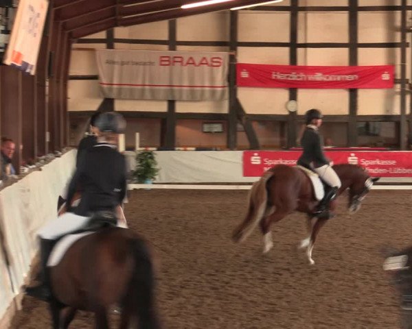 Reitturnier Ovenstädt 2018