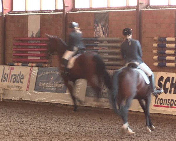 Reitturnier Ovenstädt 2018
