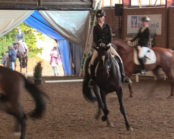 Reitturnier Ovenstädt 2018