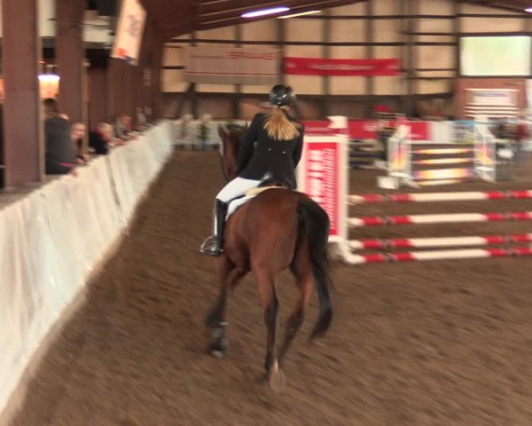 Reitturnier Ovenstädt 2018