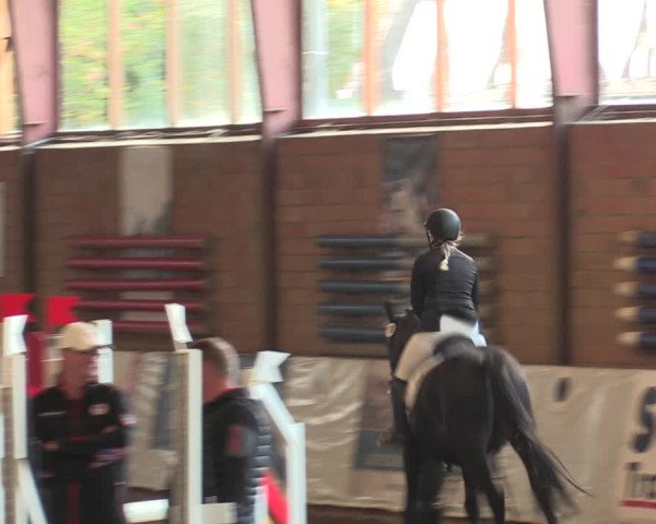 Reitturnier Ovenstädt 2018