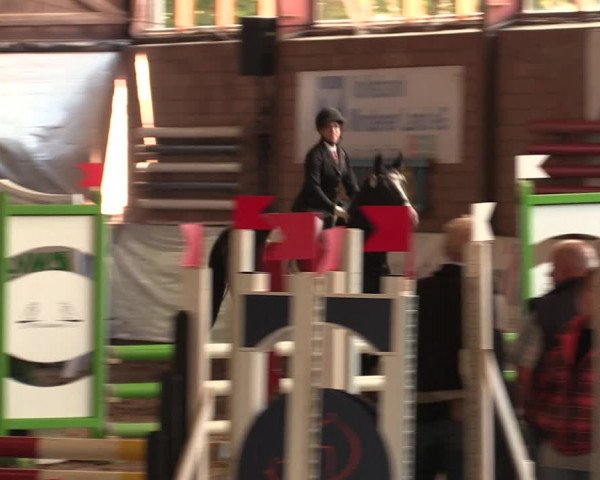 Reitturnier Ovenstädt 2018