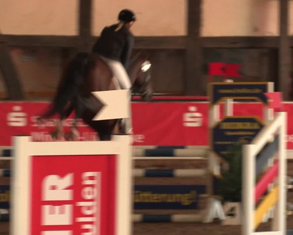 Reitturnier Ovenstädt 2018