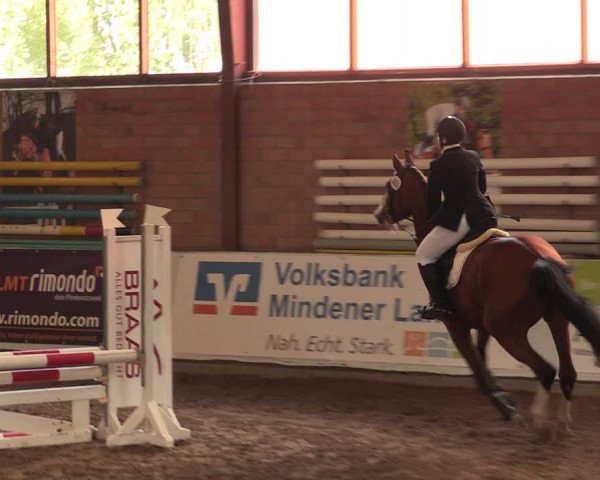 Reitturnier Ovenstädt 2018