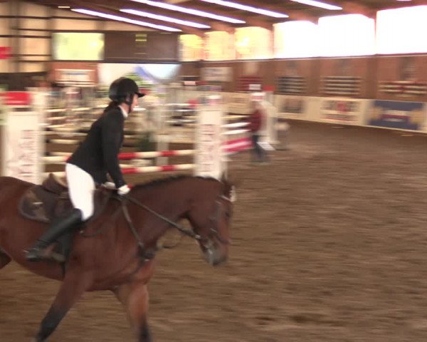 Reitturnier Ovenstädt 2018