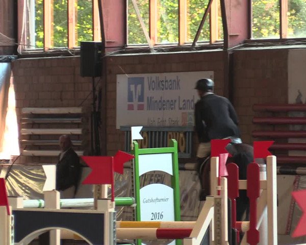 Reitturnier Ovenstädt 2018
