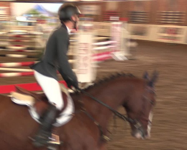 Reitturnier Ovenstädt 2018