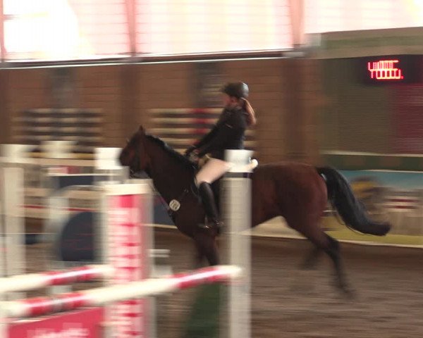 Reitturnier Ovenstädt 2018