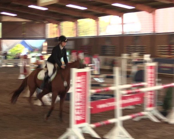 Reitturnier Ovenstädt 2018