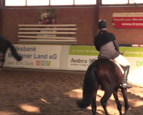Reitturnier Ovenstädt 2018
