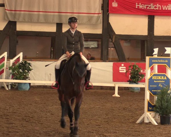 Reitturnier Ovenstädt 2018