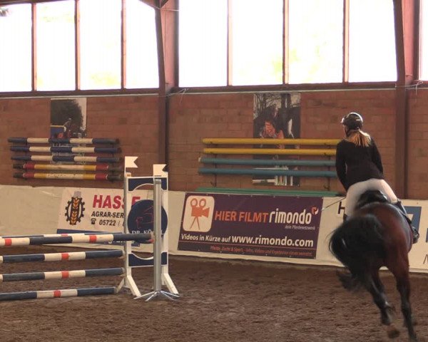 Reitturnier Ovenstädt 2018