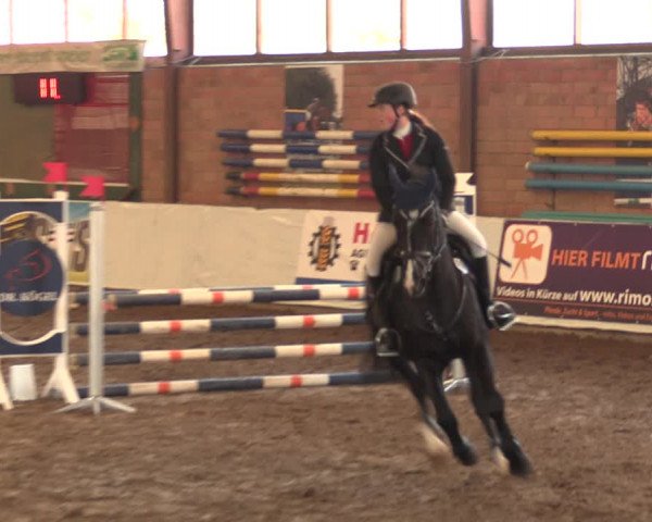 Reitturnier Ovenstädt 2018
