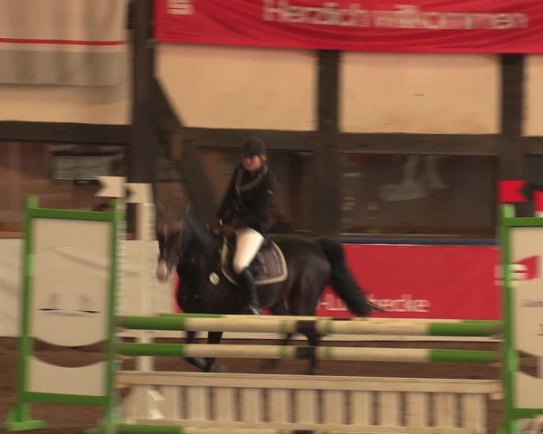 Reitturnier Ovenstädt 2018