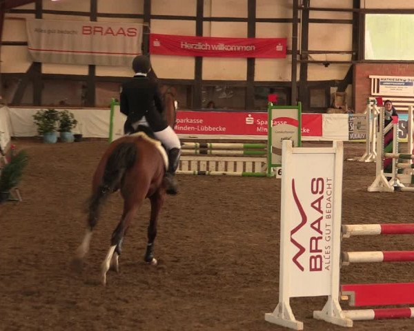 Reitturnier Ovenstädt 2018