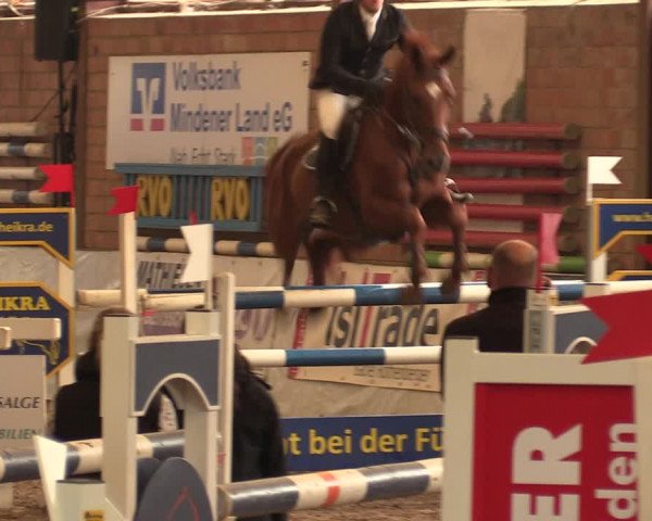 Reitturnier Ovenstädt 2018