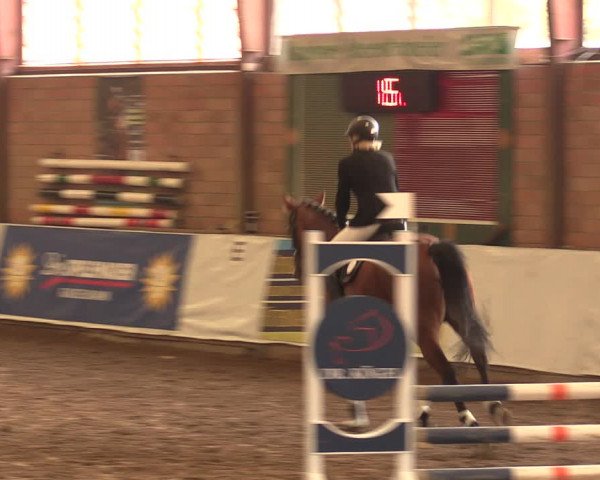 Reitturnier Ovenstädt 2018