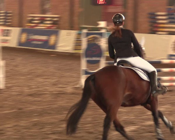 Reitturnier Ovenstädt 2018