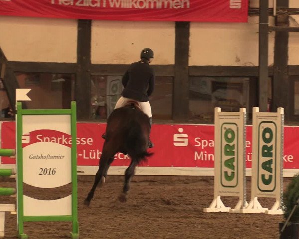 Reitturnier Ovenstädt 2018