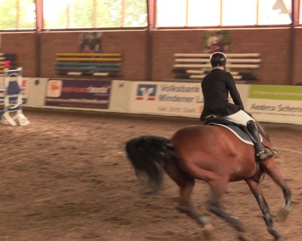 Reitturnier Ovenstädt 2018