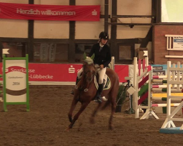 Reitturnier Ovenstädt 2018