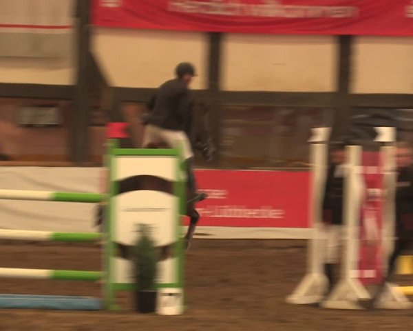 Reitturnier Ovenstädt 2018