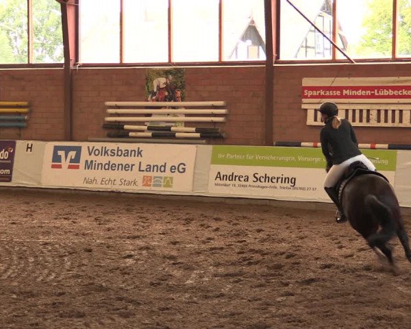 Reitturnier Ovenstädt 2018