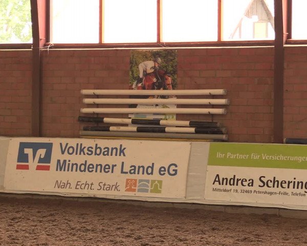 Reitturnier Ovenstädt 2018