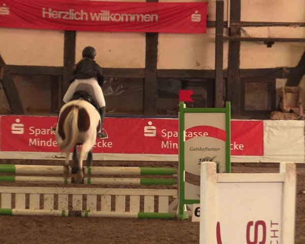 Reitturnier Ovenstädt 2018