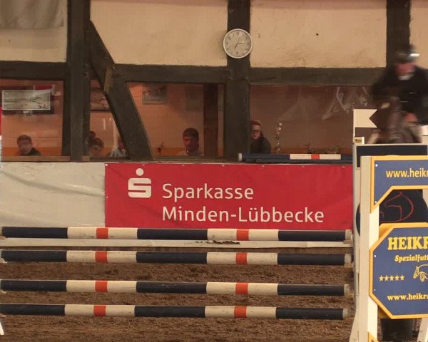 Reitturnier Ovenstädt 2018