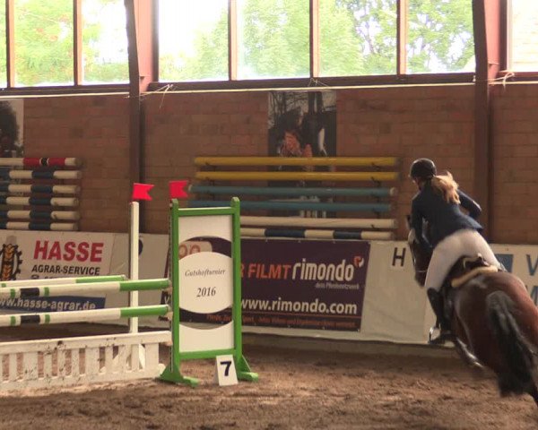 Reitturnier Ovenstädt 2018