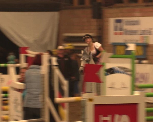 Reitturnier Ovenstädt 2018