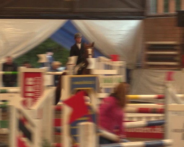 Reitturnier Ovenstädt 2018