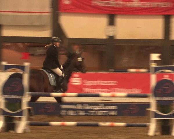 Reitturnier Ovenstädt 2018