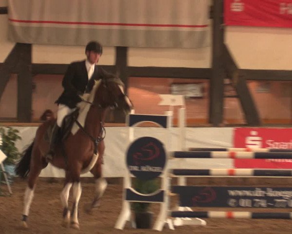 Reitturnier Ovenstädt 2018