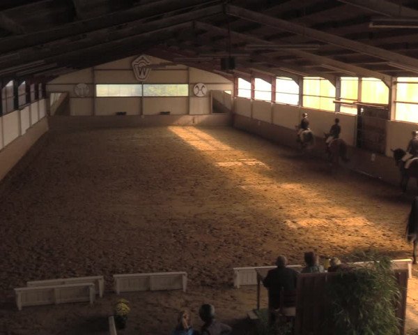 Reitturnier Lüdinghausen-Westrup 2018