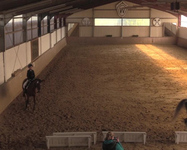 Reitturnier Lüdinghausen-Westrup 2018